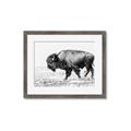 Picture of Buffalo March _GroupedProduct_Rectangle_Landscape_Photography _GroupedProduct_Rectangle_Landscape_Framed_Matted_