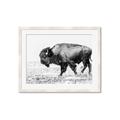 Picture of Buffalo March _GroupedProduct_Rectangle_Landscape_Photography _GroupedProduct_Rectangle_Landscape_Framed_Matted_