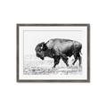 Picture of Buffalo March _GroupedProduct_Rectangle_Landscape_Photography _GroupedProduct_Rectangle_Landscape_Framed_Matted_