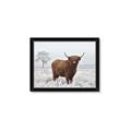 Picture of Cookie, the Cow  _GroupedProduct_Rectangle_Landscape_Photography _GroupedProduct_Rectangle_Landscape_Framed_Matted_