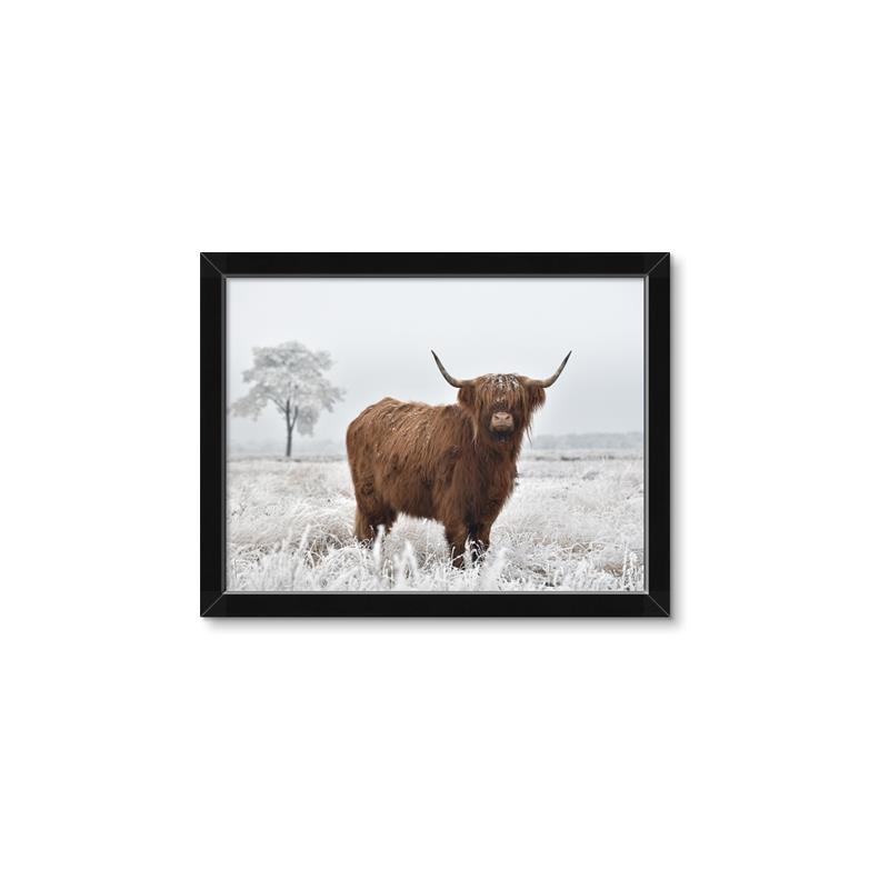 Picture of Cookie, the Cow  _GroupedProduct_Rectangle_Landscape_Photography _GroupedProduct_Rectangle_Landscape_Framed_Matted_