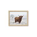 Picture of Cookie, the Cow  _GroupedProduct_Rectangle_Landscape_Photography _GroupedProduct_Rectangle_Landscape_Framed_Matted_