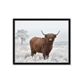 Picture of Cookie, the Cow  _GroupedProduct_Rectangle_Landscape_Photography _GroupedProduct_Rectangle_Landscape_Framed_Matted_