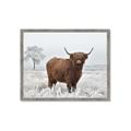 Picture of Cookie, the Cow  _GroupedProduct_Rectangle_Landscape_Photography _GroupedProduct_Rectangle_Landscape_Framed_Matted_