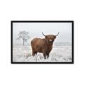 Picture of Cookie, the Cow  _GroupedProduct_Rectangle_Landscape_Photography _GroupedProduct_Rectangle_Landscape_Framed_Matted_