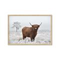 Picture of Cookie, the Cow  _GroupedProduct_Rectangle_Landscape_Photography _GroupedProduct_Rectangle_Landscape_Framed_Matted_