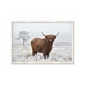 Picture of Cookie, the Cow  _GroupedProduct_Rectangle_Landscape_Photography _GroupedProduct_Rectangle_Landscape_Framed_Matted_