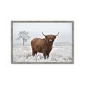 Picture of Cookie, the Cow  _GroupedProduct_Rectangle_Landscape_Photography _GroupedProduct_Rectangle_Landscape_Framed_Matted_