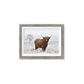 Picture of Cookie, the Cow  _GroupedProduct_Rectangle_Landscape_Photography _GroupedProduct_Rectangle_Landscape_Framed_Matted_