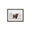 Picture of Cookie, the Cow  _GroupedProduct_Rectangle_Landscape_Photography _GroupedProduct_Rectangle_Landscape_Framed_Matted_