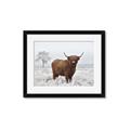 Picture of Cookie, the Cow  _GroupedProduct_Rectangle_Landscape_Photography _GroupedProduct_Rectangle_Landscape_Framed_Matted_