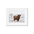 Picture of Cookie, the Cow  _GroupedProduct_Rectangle_Landscape_Photography _GroupedProduct_Rectangle_Landscape_Framed_Matted_