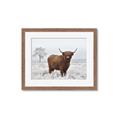 Picture of Cookie, the Cow  _GroupedProduct_Rectangle_Landscape_Photography _GroupedProduct_Rectangle_Landscape_Framed_Matted_
