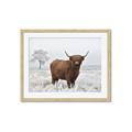 Picture of Cookie, the Cow  _GroupedProduct_Rectangle_Landscape_Photography _GroupedProduct_Rectangle_Landscape_Framed_Matted_
