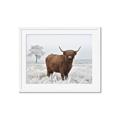 Picture of Cookie, the Cow  _GroupedProduct_Rectangle_Landscape_Photography _GroupedProduct_Rectangle_Landscape_Framed_Matted_