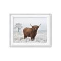Picture of Cookie, the Cow  _GroupedProduct_Rectangle_Landscape_Photography _GroupedProduct_Rectangle_Landscape_Framed_Matted_