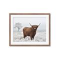 Picture of Cookie, the Cow  _GroupedProduct_Rectangle_Landscape_Photography _GroupedProduct_Rectangle_Landscape_Framed_Matted_