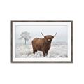 Picture of Cookie, the Cow  _GroupedProduct_Rectangle_Landscape_Photography _GroupedProduct_Rectangle_Landscape_Framed_Matted_