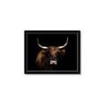 Picture of Dixie, the Bull   _GroupedProduct_Rectangle_Landscape_Photography _GroupedProduct_Rectangle_Landscape_Framed_Matted_