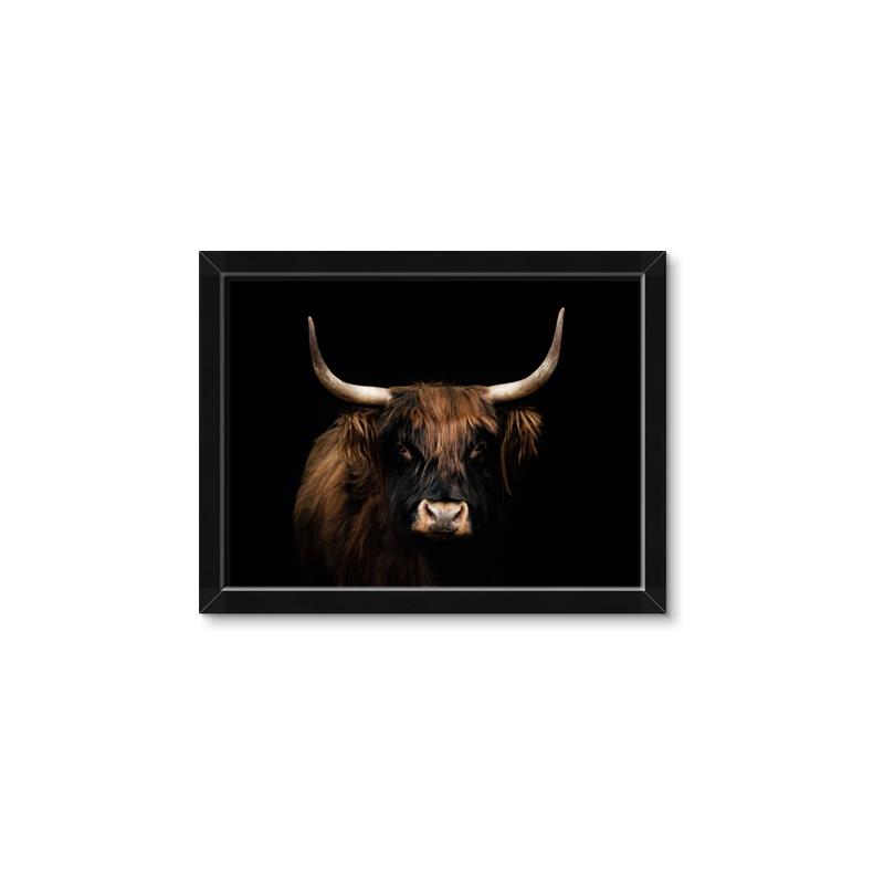 Picture of Dixie, the Bull   _GroupedProduct_Rectangle_Landscape_Photography _GroupedProduct_Rectangle_Landscape_Framed_Matted_