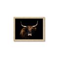 Picture of Dixie, the Bull   _GroupedProduct_Rectangle_Landscape_Photography _GroupedProduct_Rectangle_Landscape_Framed_Matted_