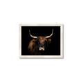 Picture of Dixie, the Bull   _GroupedProduct_Rectangle_Landscape_Photography _GroupedProduct_Rectangle_Landscape_Framed_Matted_
