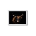 Picture of Dixie, the Bull   _GroupedProduct_Rectangle_Landscape_Photography _GroupedProduct_Rectangle_Landscape_Framed_Matted_