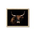Picture of Dixie, the Bull   _GroupedProduct_Rectangle_Landscape_Photography _GroupedProduct_Rectangle_Landscape_Framed_Matted_