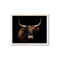 Picture of Dixie, the Bull   _GroupedProduct_Rectangle_Landscape_Photography _GroupedProduct_Rectangle_Landscape_Framed_Matted_