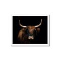 Picture of Dixie, the Bull   _GroupedProduct_Rectangle_Landscape_Photography _GroupedProduct_Rectangle_Landscape_Framed_Matted_