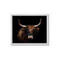 Picture of Dixie, the Bull   _GroupedProduct_Rectangle_Landscape_Photography _GroupedProduct_Rectangle_Landscape_Framed_Matted_