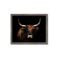 Picture of Dixie, the Bull   _GroupedProduct_Rectangle_Landscape_Photography _GroupedProduct_Rectangle_Landscape_Framed_Matted_