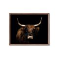 Picture of Dixie, the Bull   _GroupedProduct_Rectangle_Landscape_Photography _GroupedProduct_Rectangle_Landscape_Framed_Matted_