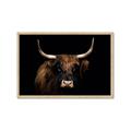 Picture of Dixie, the Bull   _GroupedProduct_Rectangle_Landscape_Photography _GroupedProduct_Rectangle_Landscape_Framed_Matted_