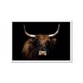 Picture of Dixie, the Bull   _GroupedProduct_Rectangle_Landscape_Photography _GroupedProduct_Rectangle_Landscape_Framed_Matted_