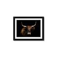 Picture of Dixie, the Bull   _GroupedProduct_Rectangle_Landscape_Photography _GroupedProduct_Rectangle_Landscape_Framed_Matted_