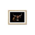 Picture of Dixie, the Bull   _GroupedProduct_Rectangle_Landscape_Photography _GroupedProduct_Rectangle_Landscape_Framed_Matted_