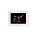Picture of Dixie, the Bull   _GroupedProduct_Rectangle_Landscape_Photography _GroupedProduct_Rectangle_Landscape_Framed_Matted_