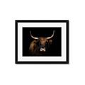 Picture of Dixie, the Bull   _GroupedProduct_Rectangle_Landscape_Photography _GroupedProduct_Rectangle_Landscape_Framed_Matted_
