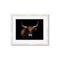 Picture of Dixie, the Bull   _GroupedProduct_Rectangle_Landscape_Photography _GroupedProduct_Rectangle_Landscape_Framed_Matted_