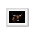 Picture of Dixie, the Bull   _GroupedProduct_Rectangle_Landscape_Photography _GroupedProduct_Rectangle_Landscape_Framed_Matted_