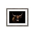 Picture of Dixie, the Bull   _GroupedProduct_Rectangle_Landscape_Photography _GroupedProduct_Rectangle_Landscape_Framed_Matted_
