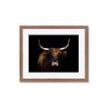 Picture of Dixie, the Bull   _GroupedProduct_Rectangle_Landscape_Photography _GroupedProduct_Rectangle_Landscape_Framed_Matted_