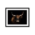 Picture of Dixie, the Bull   _GroupedProduct_Rectangle_Landscape_Photography _GroupedProduct_Rectangle_Landscape_Framed_Matted_