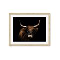 Picture of Dixie, the Bull   _GroupedProduct_Rectangle_Landscape_Photography _GroupedProduct_Rectangle_Landscape_Framed_Matted_