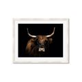 Picture of Dixie, the Bull   _GroupedProduct_Rectangle_Landscape_Photography _GroupedProduct_Rectangle_Landscape_Framed_Matted_