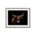 Picture of Dixie, the Bull   _GroupedProduct_Rectangle_Landscape_Photography _GroupedProduct_Rectangle_Landscape_Framed_Matted_