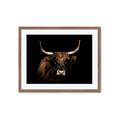 Picture of Dixie, the Bull   _GroupedProduct_Rectangle_Landscape_Photography _GroupedProduct_Rectangle_Landscape_Framed_Matted_