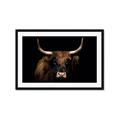 Picture of Dixie, the Bull   _GroupedProduct_Rectangle_Landscape_Photography _GroupedProduct_Rectangle_Landscape_Framed_Matted_
