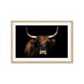Picture of Dixie, the Bull   _GroupedProduct_Rectangle_Landscape_Photography _GroupedProduct_Rectangle_Landscape_Framed_Matted_